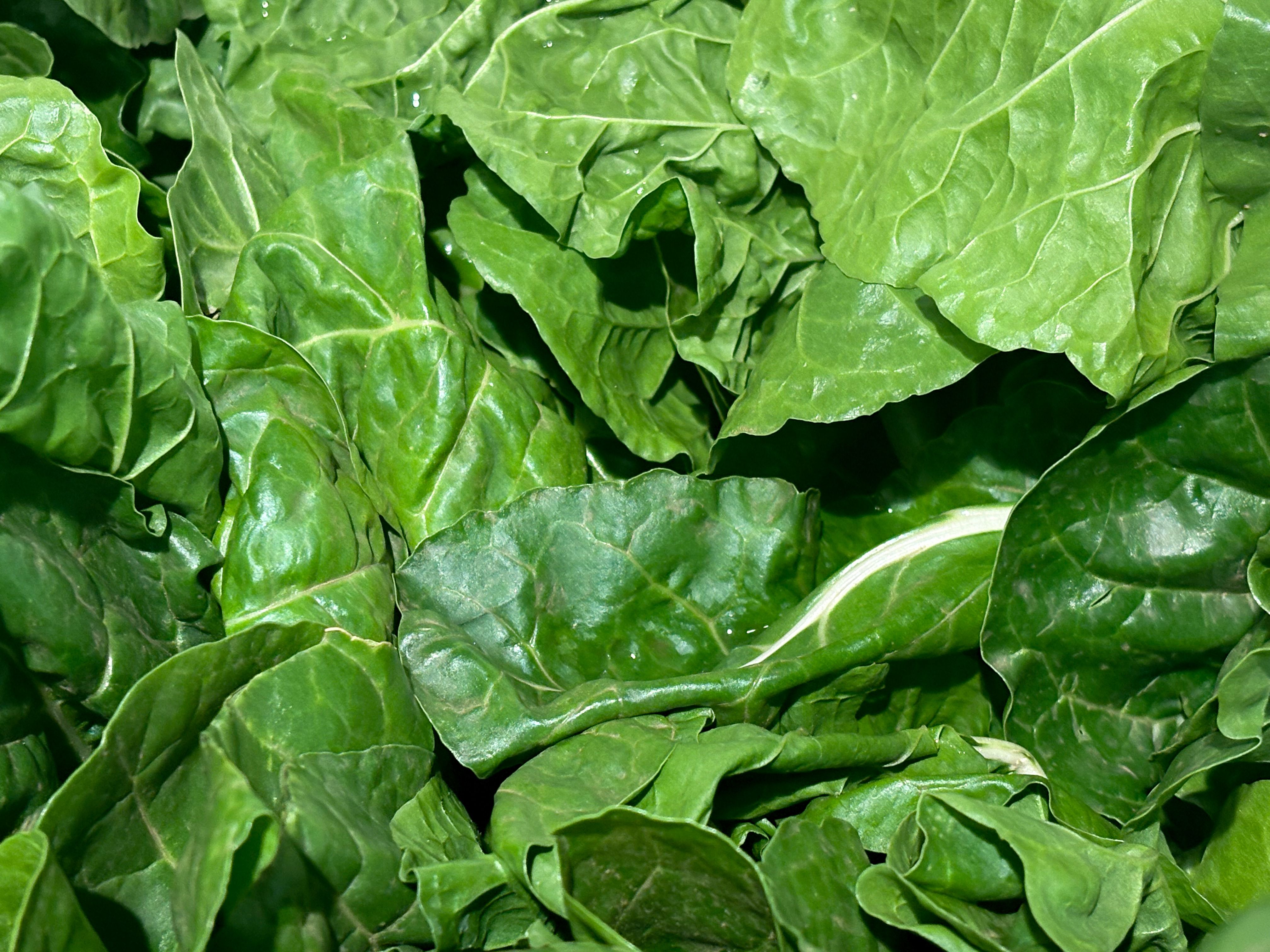 Is Spinach Really High in Iron? Unpacking the Role of Oxalate