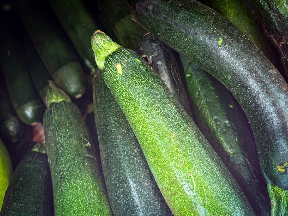 Fresh green zucchini, photo by Magda Ehlers on Pexels