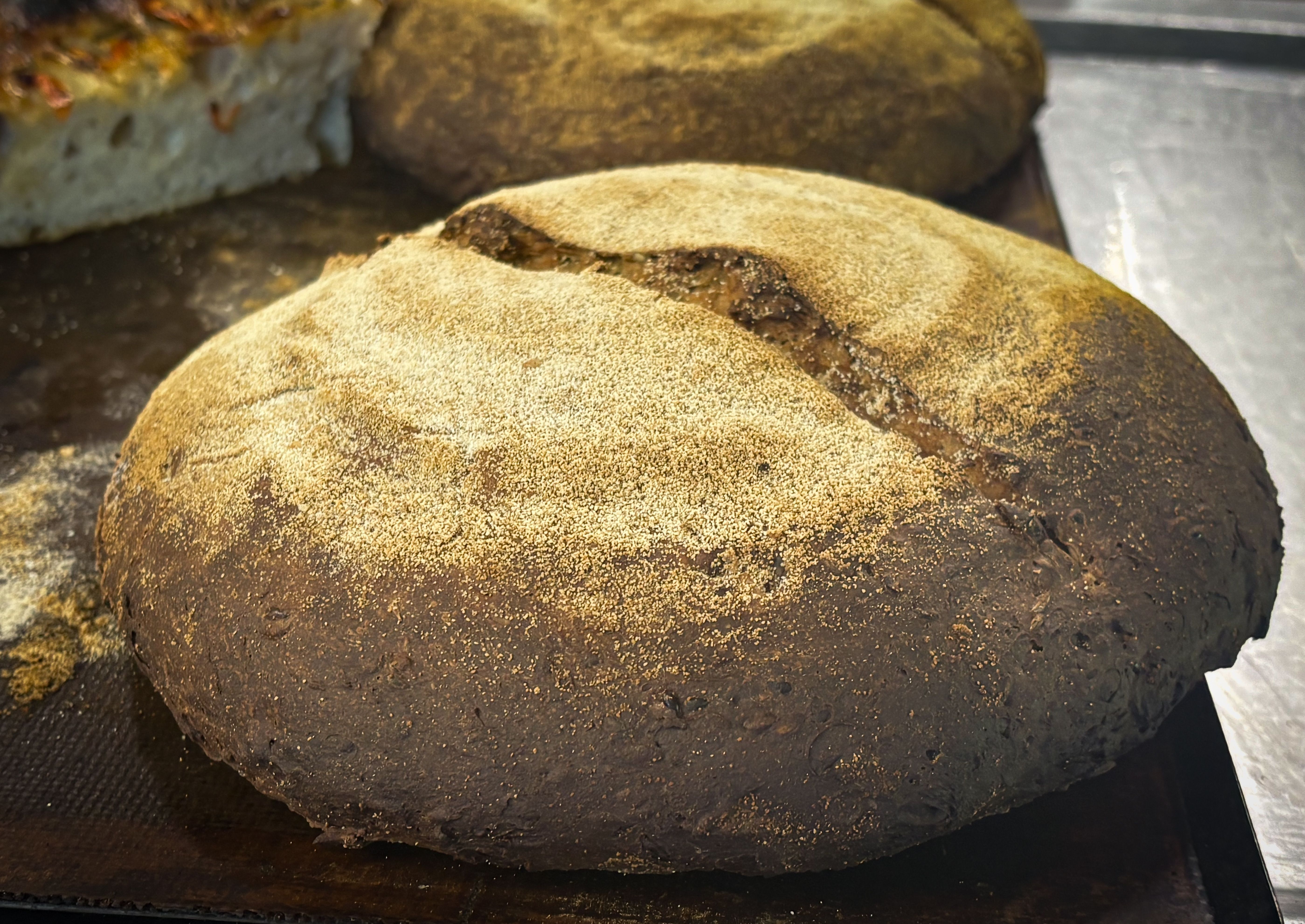 Close-up of freshly baked rustic artisan bread loaves with a golden crust on a baking tray.