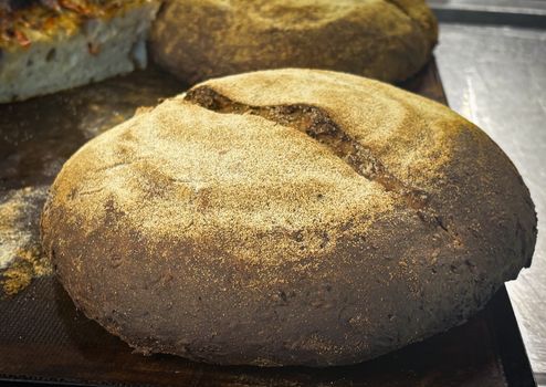 Close-up of freshly baked rustic artisan bread loaves with a golden crust on a baking tray.