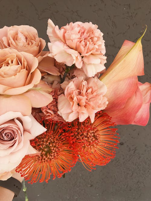 High angle of anonymous person with bunch of fresh tender curvy flowers on gray background