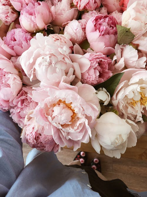 Free Delicate flower bouquet of roses and peonies Stock Photo