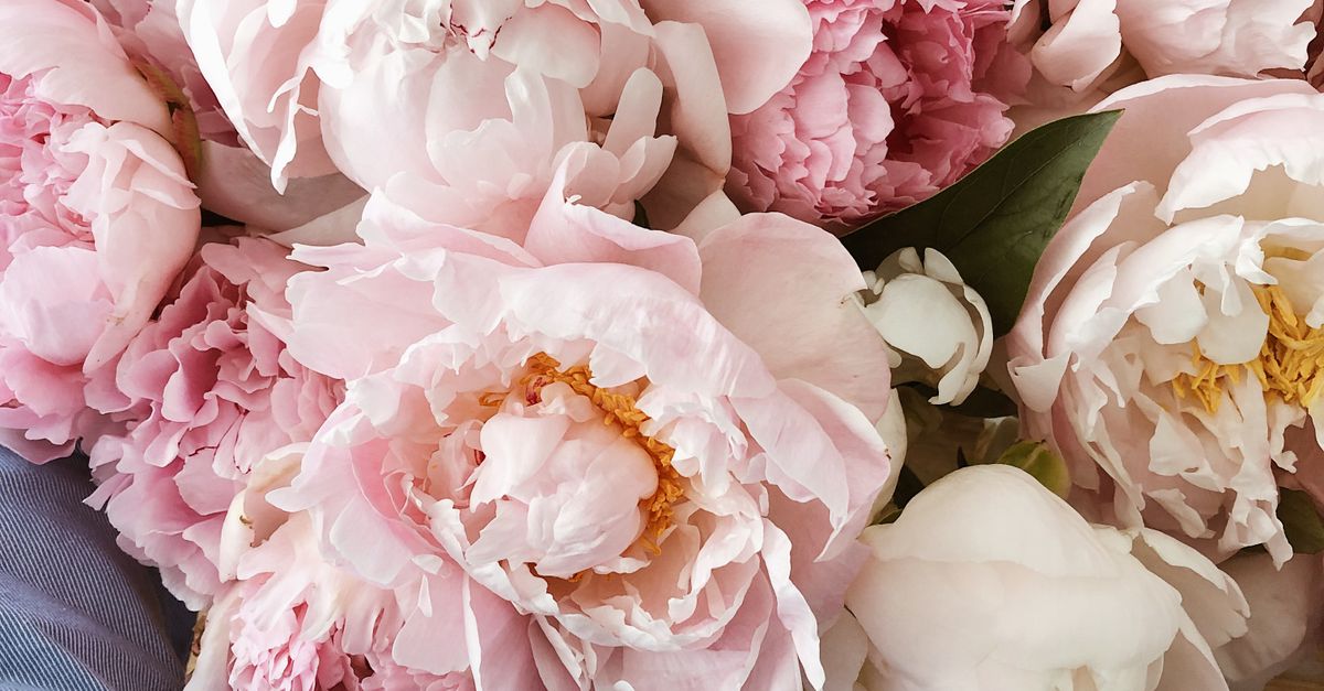 Zarter Blumenstrauß Aus Rosen Und Pfingstrosen · Kostenloses Stock Foto
