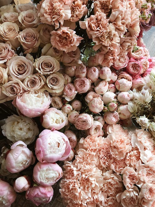 From above of heap of various flowers consisting of dusty pink dianthus and peach peony shaped roses and roses and pink peonies and bush peony roses close arranged to each other