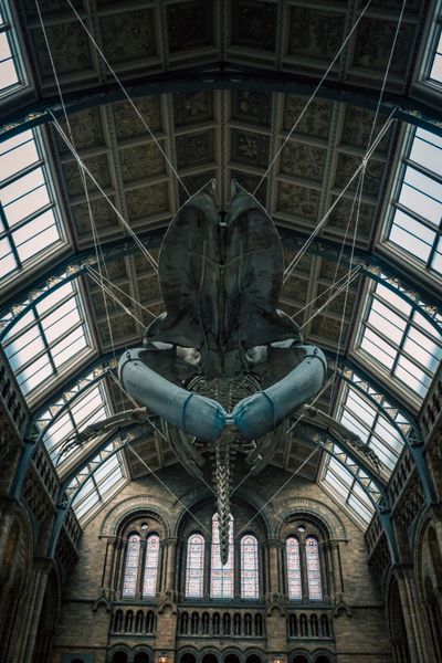 Science museum exhibition hall — Ray Zhu on Pexels