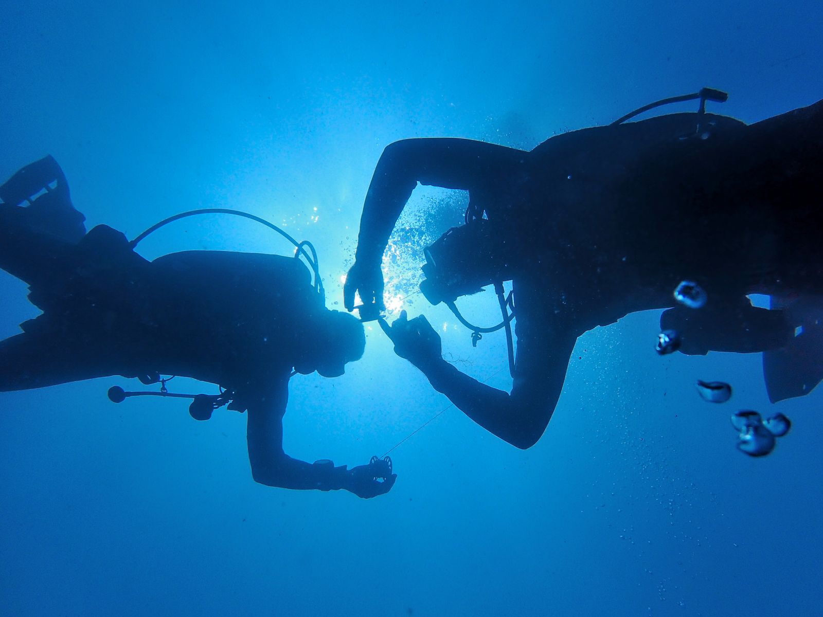 Silhouette of two divers sharing moment underwater