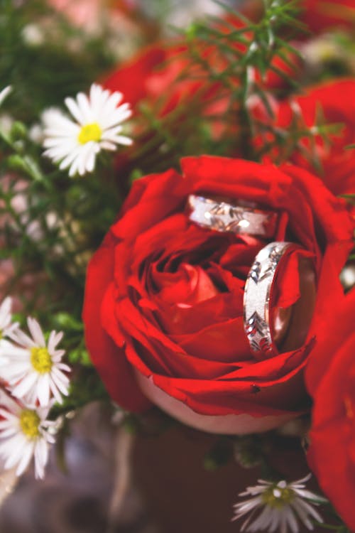 Foto d'estoc gratuïta de boda, casament, roses vermelles
