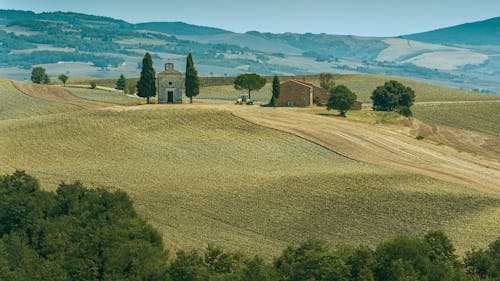 Foto d'estoc gratuïta de agricultura, arbres, crete senesi