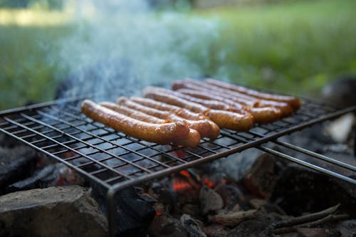 Free stock photo of activity, barbecue, barbecuing
