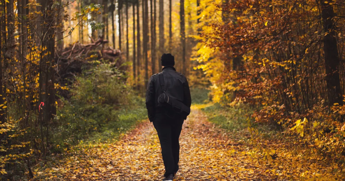 A person walking alone along a woodland path in autumn