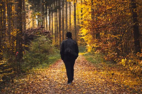 Free Man in black jacket walking on a leaf-covered forest path during fall. Stock Photo