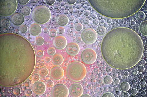 Free Abstract close-up of colorful oil and water bubbles creating a unique pattern. Stock Photo
