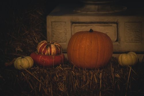 Free A collection of pumpkins and gourds on a straw bale, perfect for autumn or Halloween themes. Stock Photo