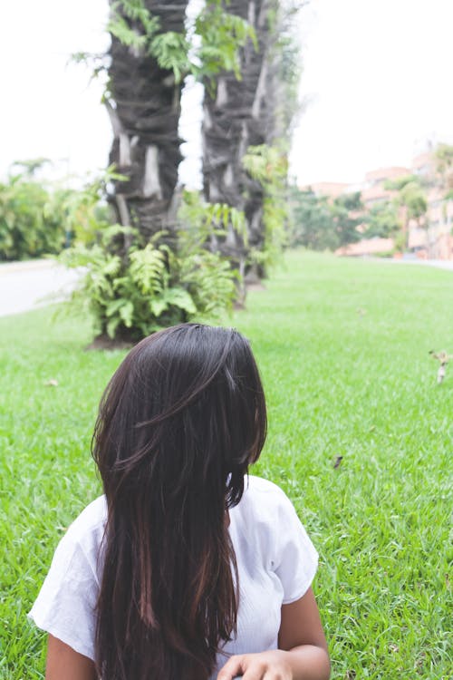 Free stock photo of background, brown hair, green