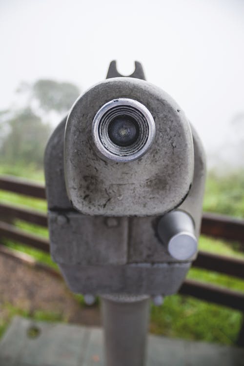 Foto profissional grátis de conhecimento, ecológico, olho