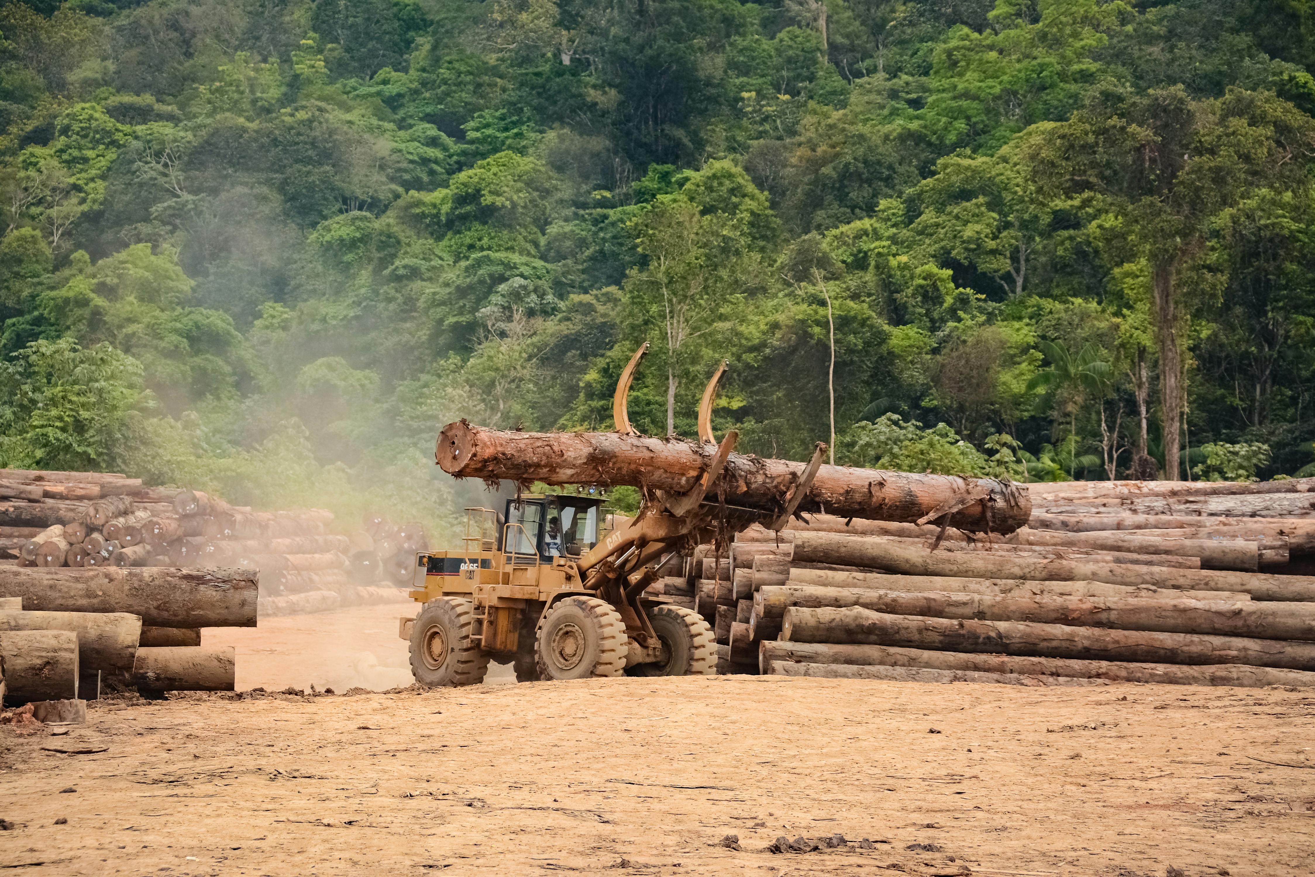 Free Stock Photo Of Deforestation, Rainforest, South America