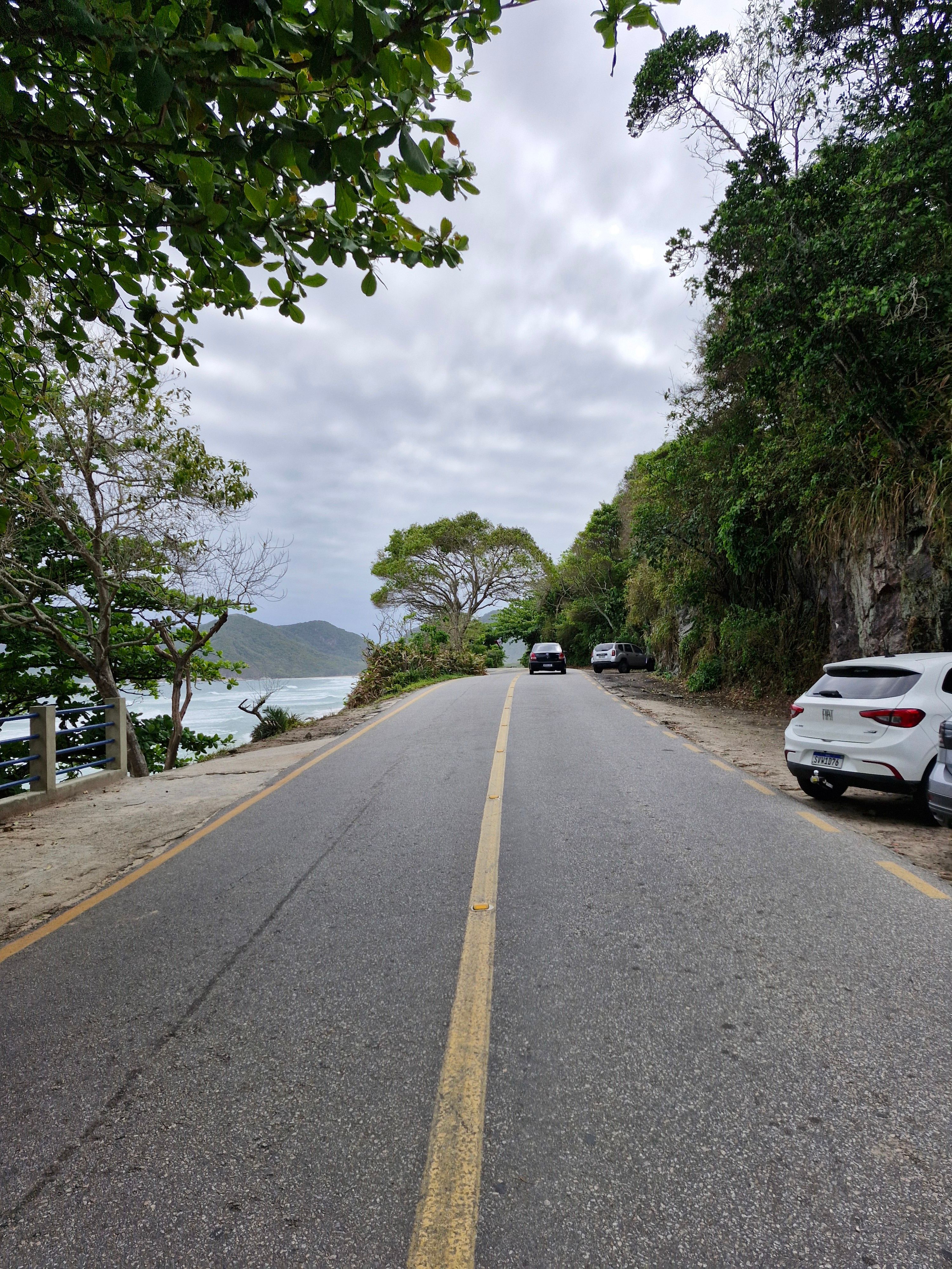 Scenic Coastal Road with Ocean View · Free Stock Photo