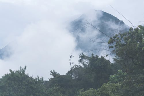 Free stock photo of mist, mountains, nature