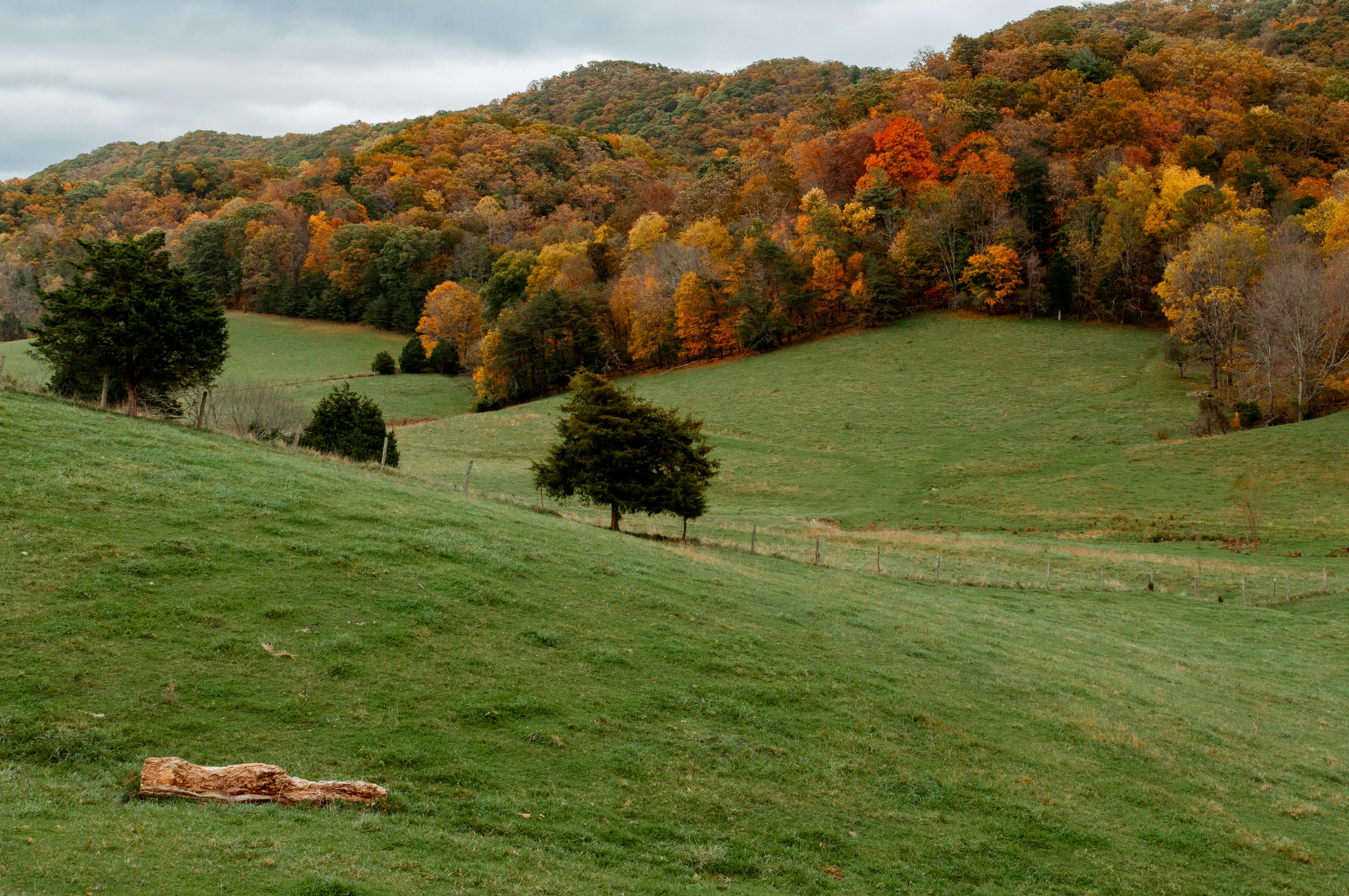 Vibrant fall foliage covering rolling hills in Blacksburg, VA, capturing serene natural beauty.