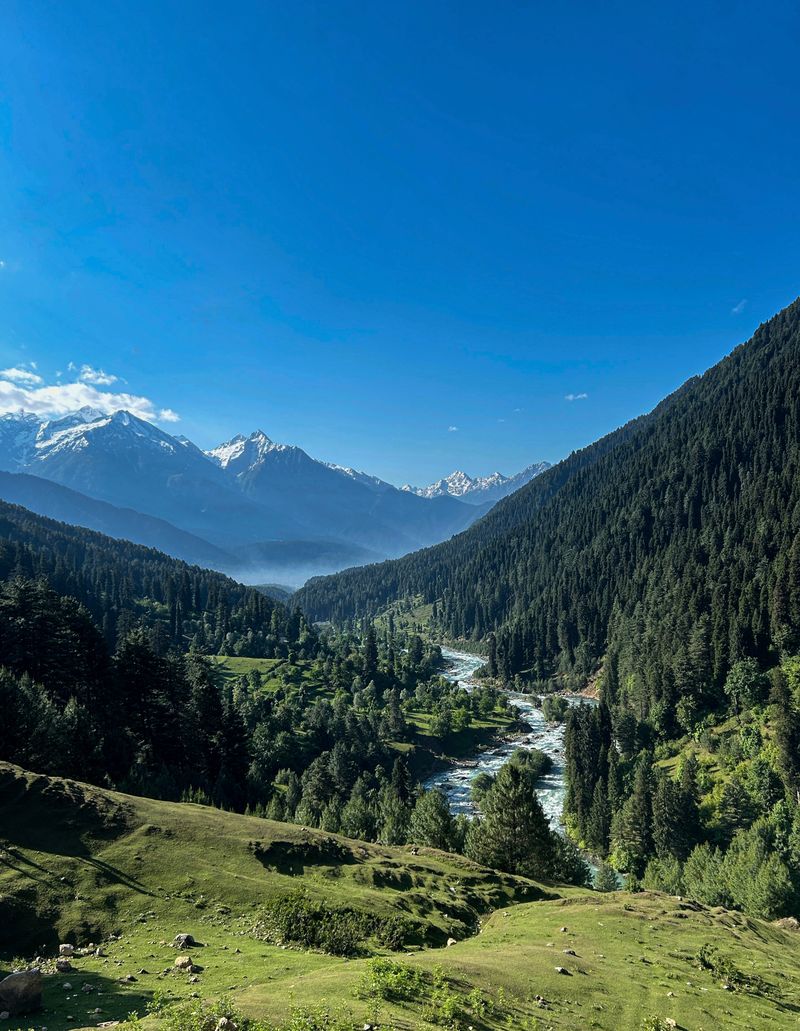 Pahalgam Kashmir