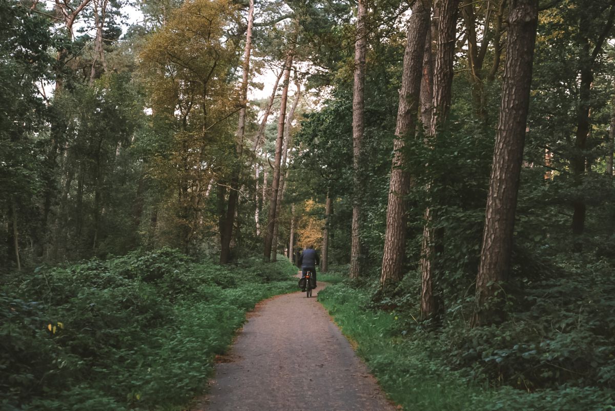 Biciclist singur pe o potecă de pădure