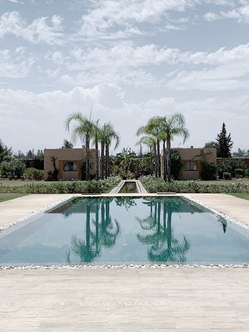 免费 游泳池与棕榈树的倒影 素材图片