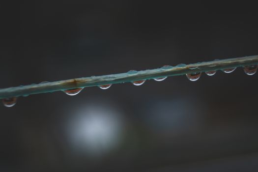 Close-up of dew drops on a grass blade, set against a moody, blurred background.