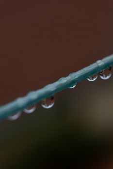 Close-up of clear water droplets on a green wire with blurred background.