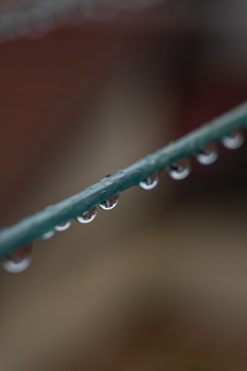 Free Intriguing close-up of raindrops on wire, showcasing nature's simplicity. Stock Photo
