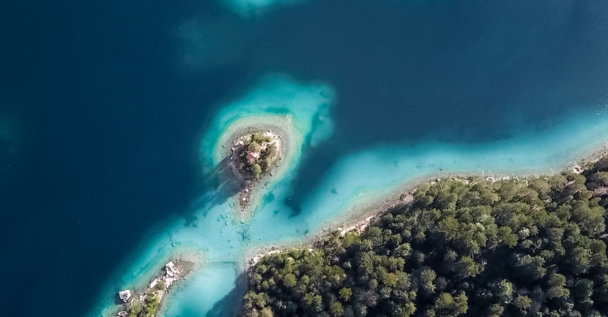 The Bahamas: tourism CSR protecting beaches and promoting marine conservation through citizen science The Bahamas: tourism CSR protecting beaches and promoting marine conservation through citizen science