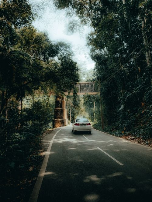 Free A car driving on a lush forest road under a traditional bridge in Thiruvananthapuram, India. Stock Photo
