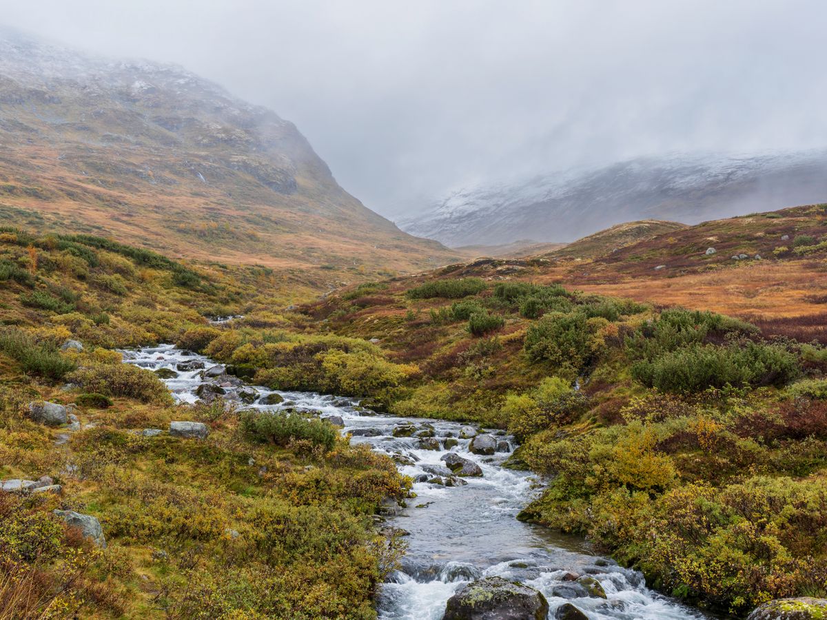 7 Day Wilderness & Personal Development Retreat in Norway 3