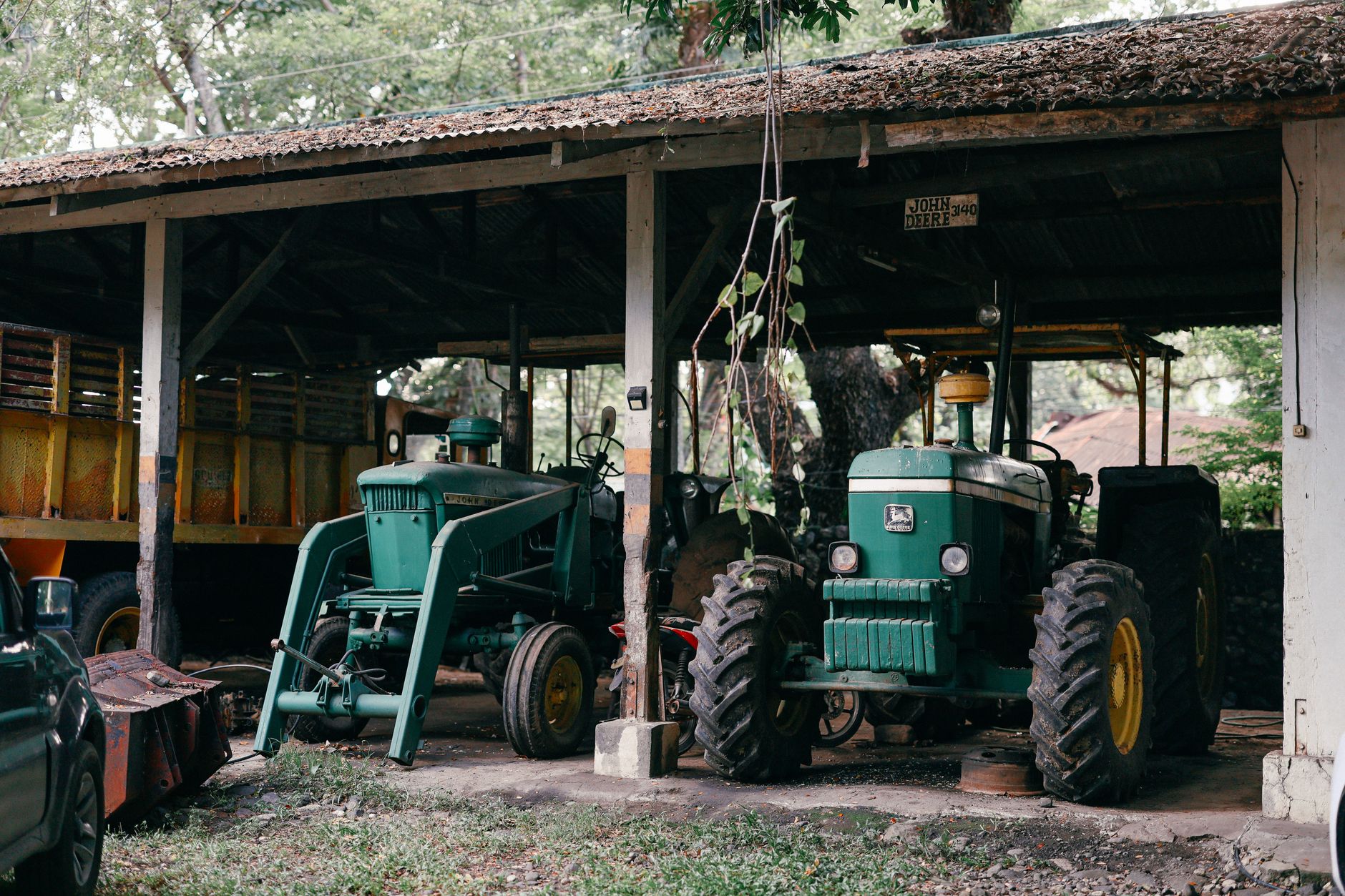 Two vintage tractors parked in a rustic farm shed, surrounded by foliage.
