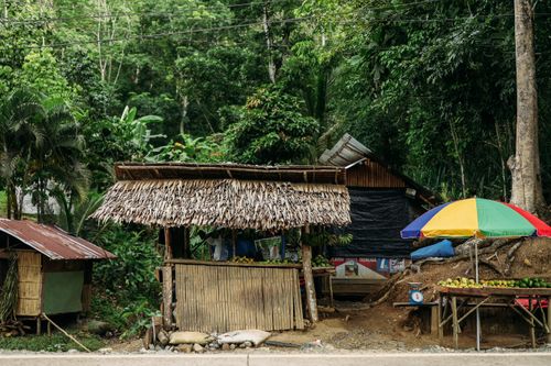 Free A rustic market stall with a thatched roof surrounded by tropical greenery, selling fruits. Stock Photo