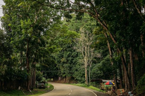 Free A winding country road surrounded by lush green trees on a peaceful day. Stock Photo