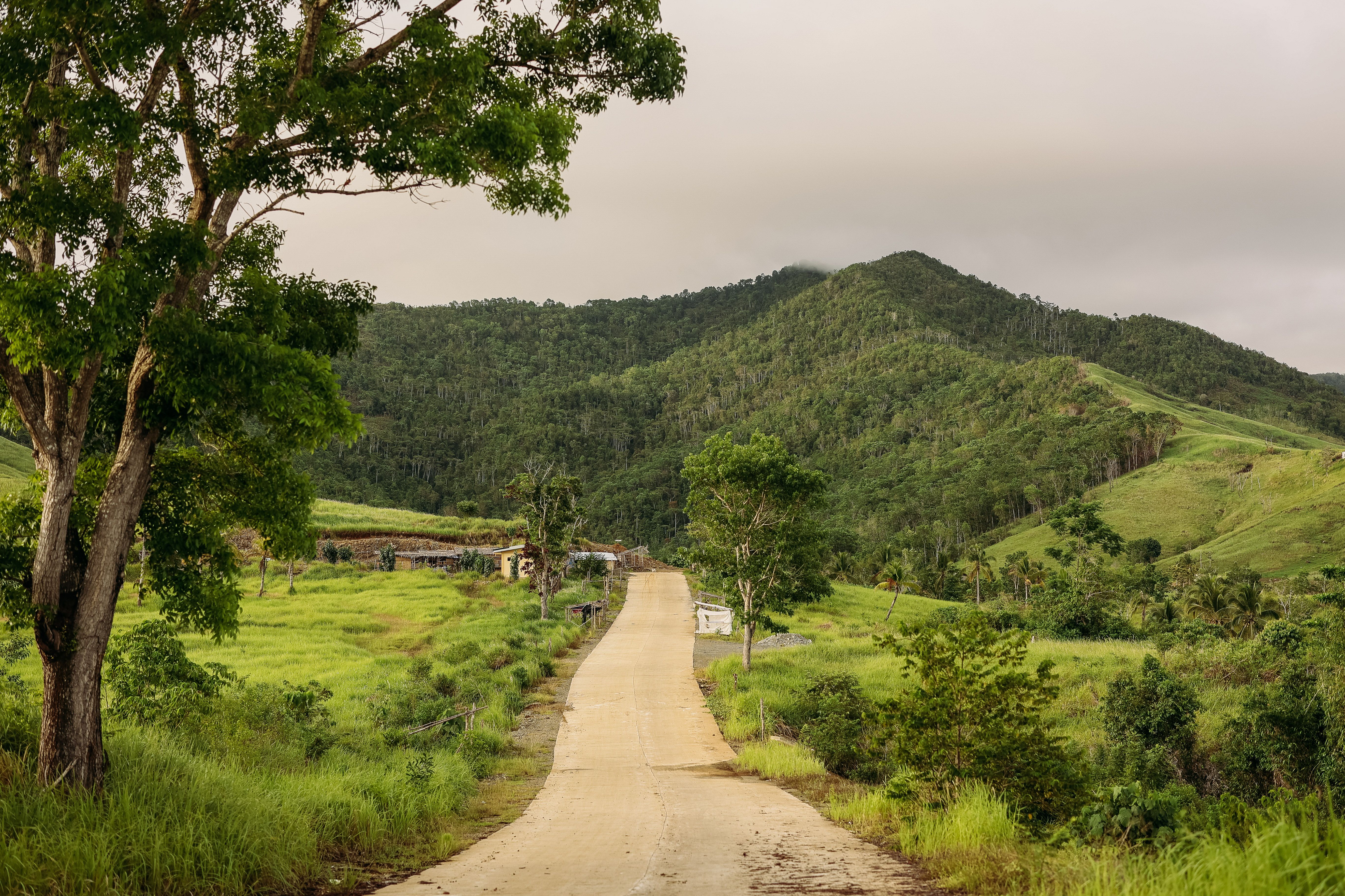 A picturesque road leading through vibrant greenery towards hilly terrain under a cloudy sky.