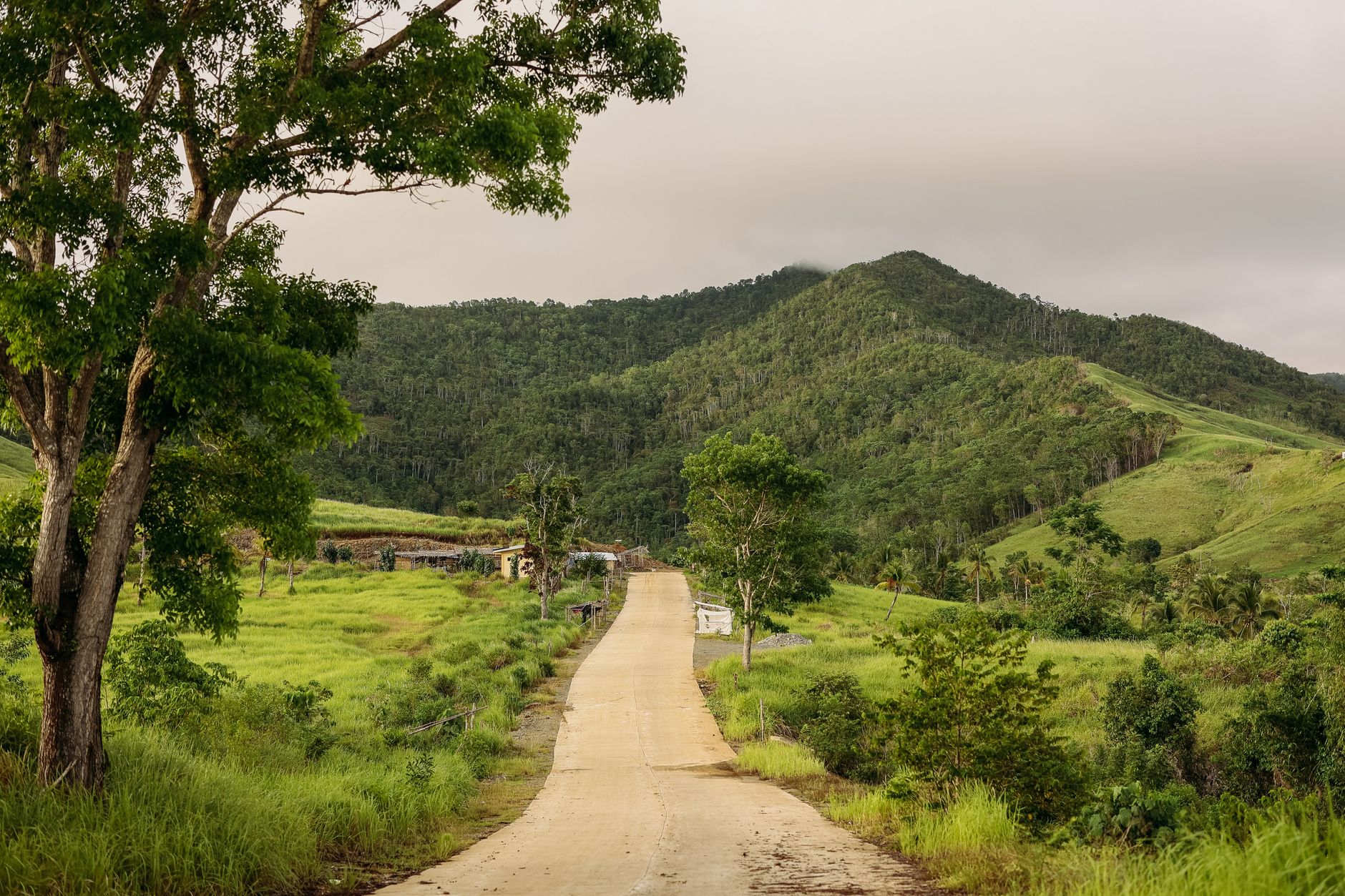 A picturesque road leading through vibrant greenery towards hilly terrain under a cloudy sky.