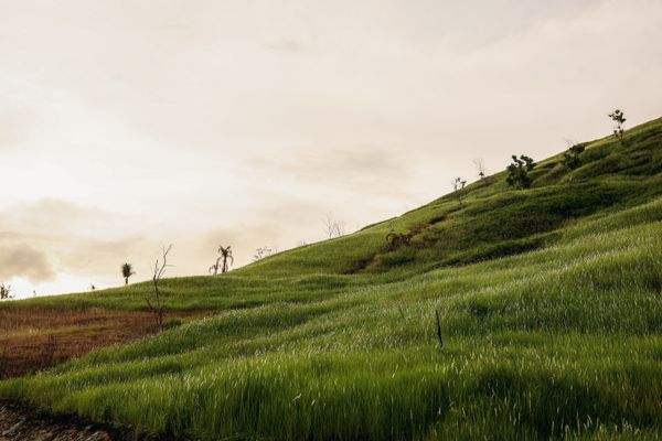 Matheran - Activity & Sightseeing