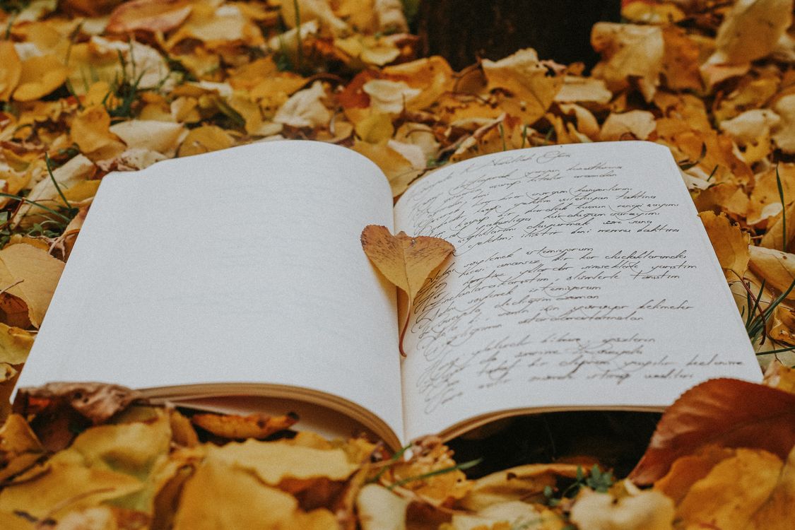Book Open Fall Pfp Open Book on Fallen Autumn Leaves · Free Stock Photo