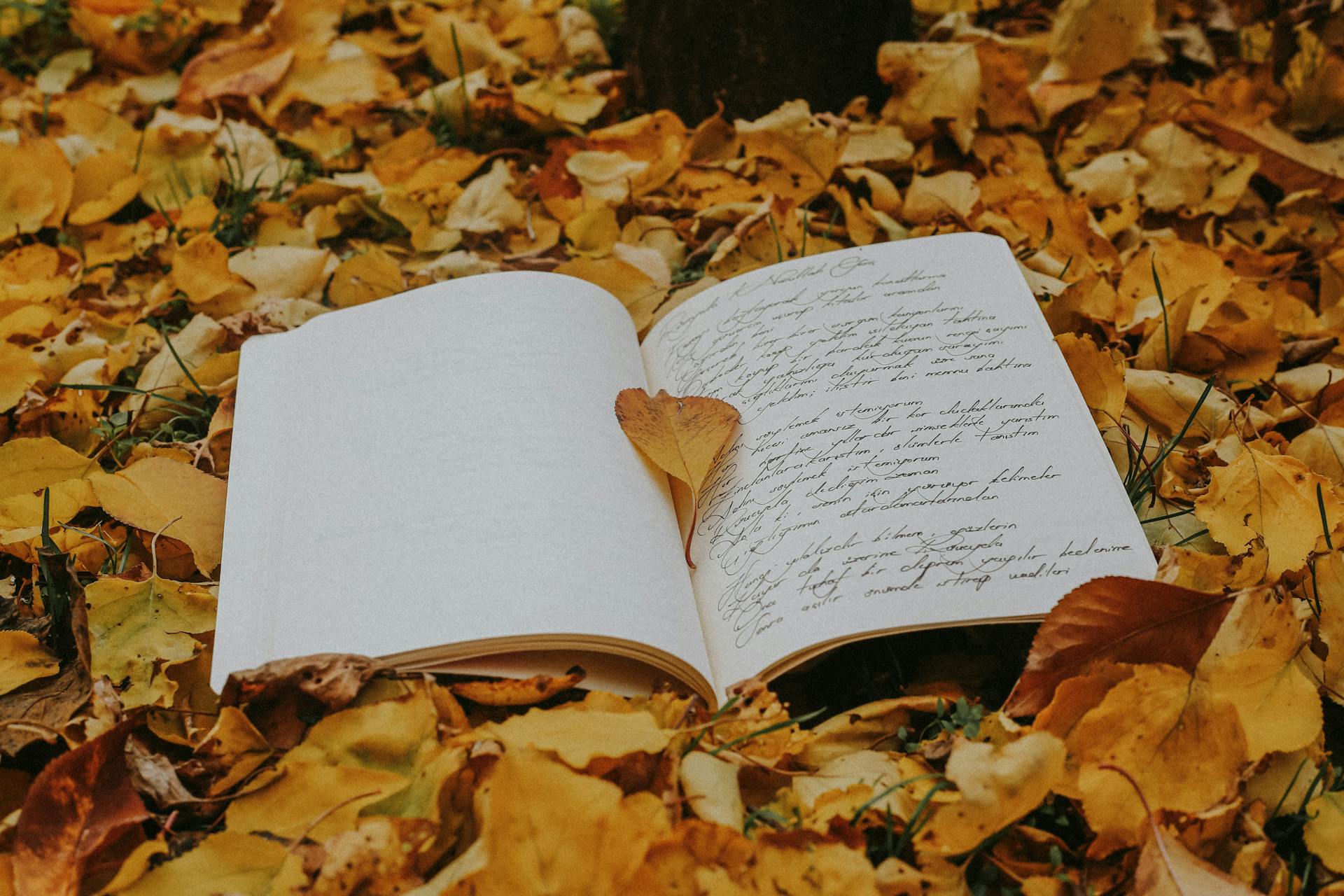 An open journal rests on a bed of colorful autumn leaves, creating a cozy and artistic scene.