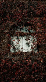 An ivy-covered window with red autumn leaves creates a dark, moody atmosphere.
