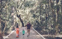 一家人手牵手，在森林小路上漫步，一起享受大自然