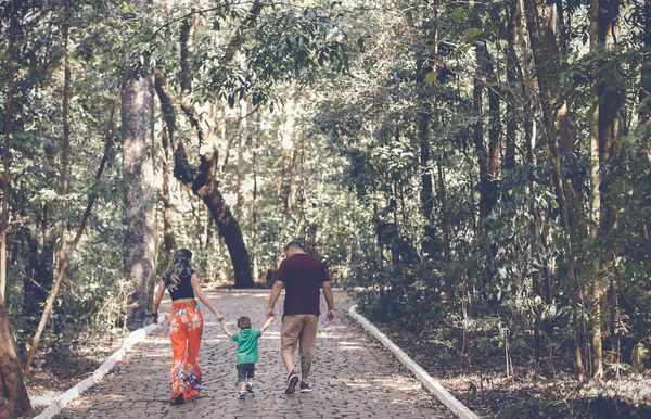 A family walking hand in hand on a forest path
