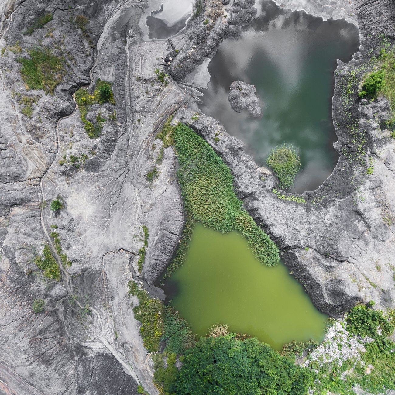 Rock Stone Pond