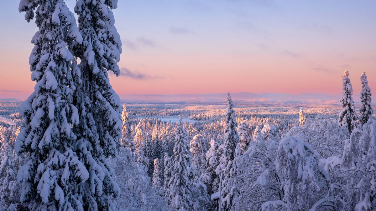 Süper Promo Lapland Turu Beyaz Rotalar (4 Gece - Park Hotel)