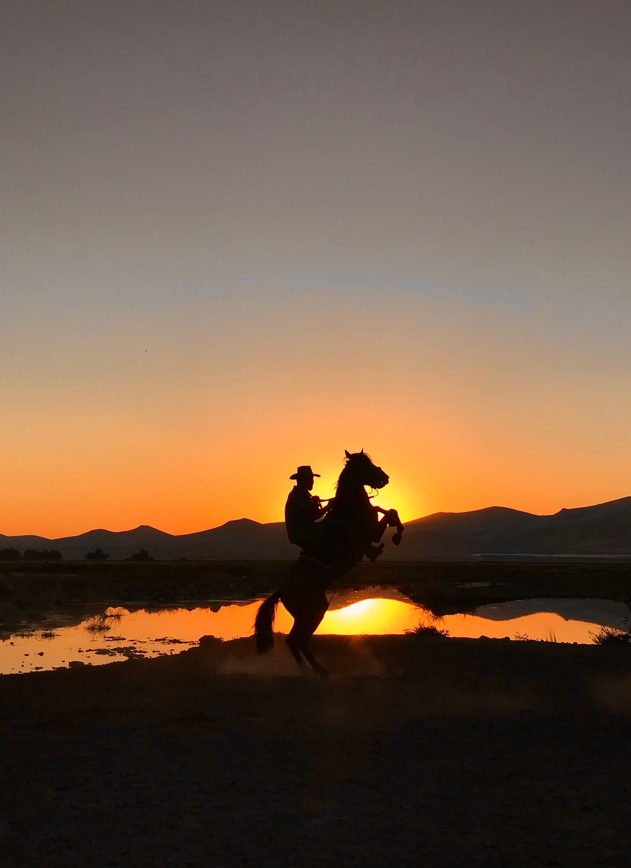 Cowboy Silhouette on Rearing Horse at Sunset · Free Stock Photo