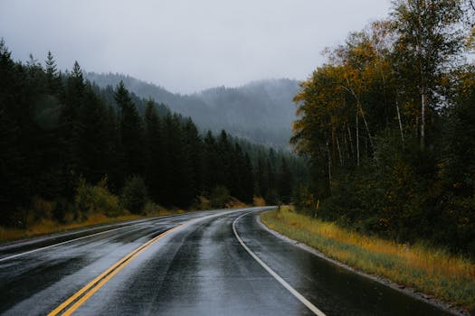 Curving road through misty forest with autumn colors and wet pavement.