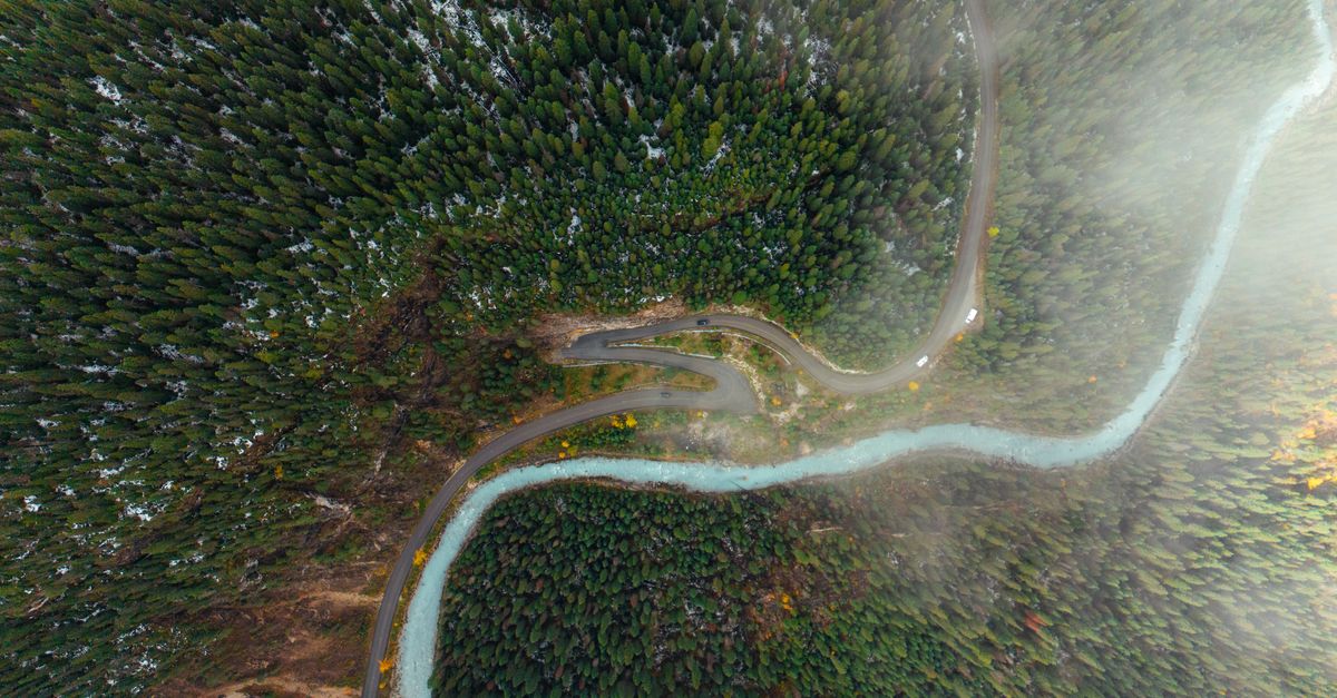 Top 10 des Activités de Loisirs Écologiques à Tester au Royaume-Uni