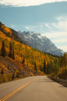 A picturesque road winding through autumn-colored trees with a majestic mountain backdrop.