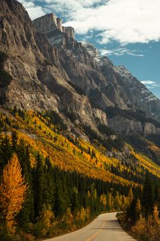 Breathtaking autumn scenery of a road winding through the vibrant Rocky Mountains landscape.